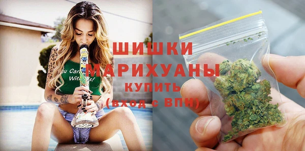 прущие грибы Лиски