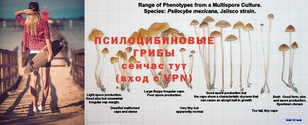 а пвп мука Елабуга