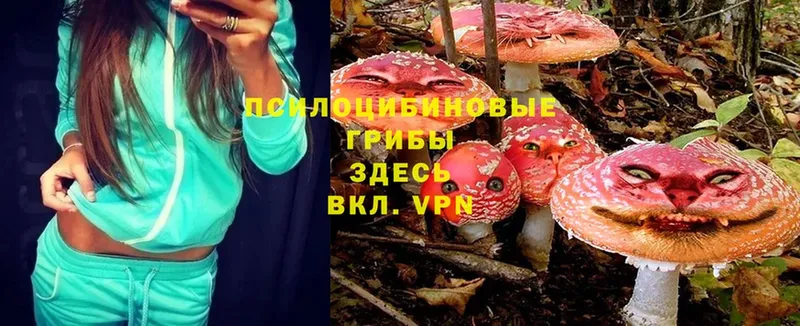 продажа наркотиков  Белореченск  Псилоцибиновые грибы Magic Shrooms 