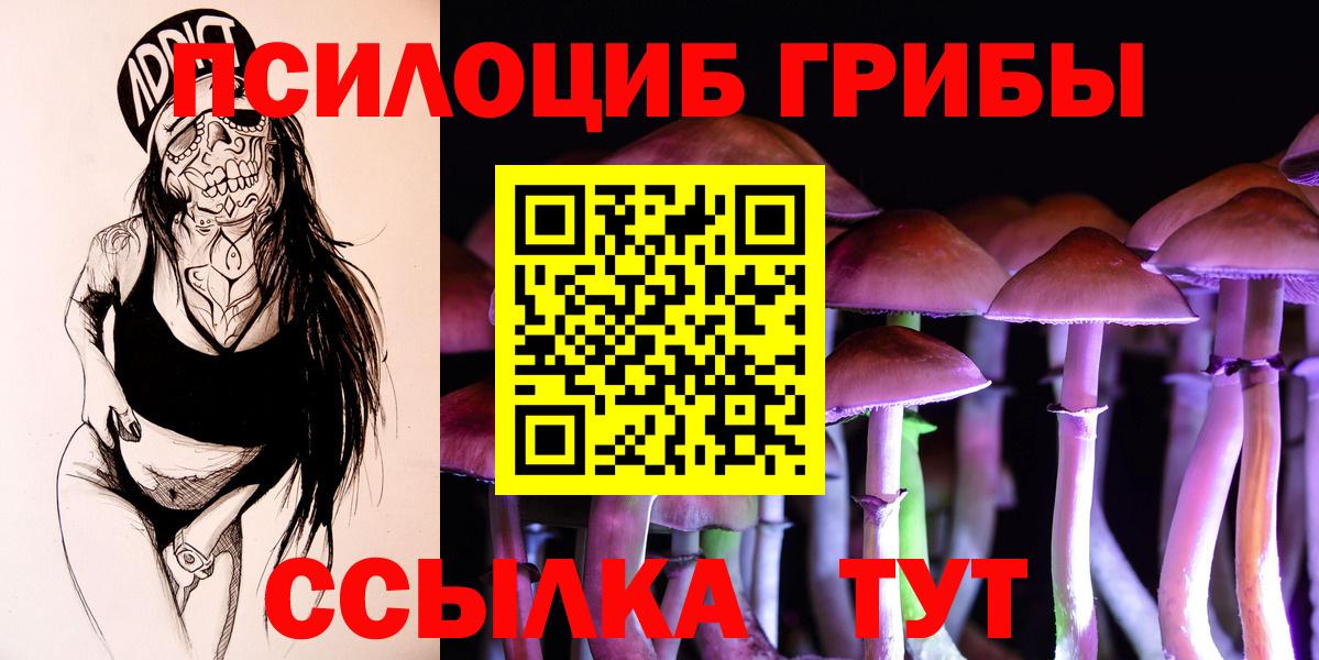Галлюциногенные грибы мицелий  Белореченск  Псилоцибиновые грибы Magic Shrooms 