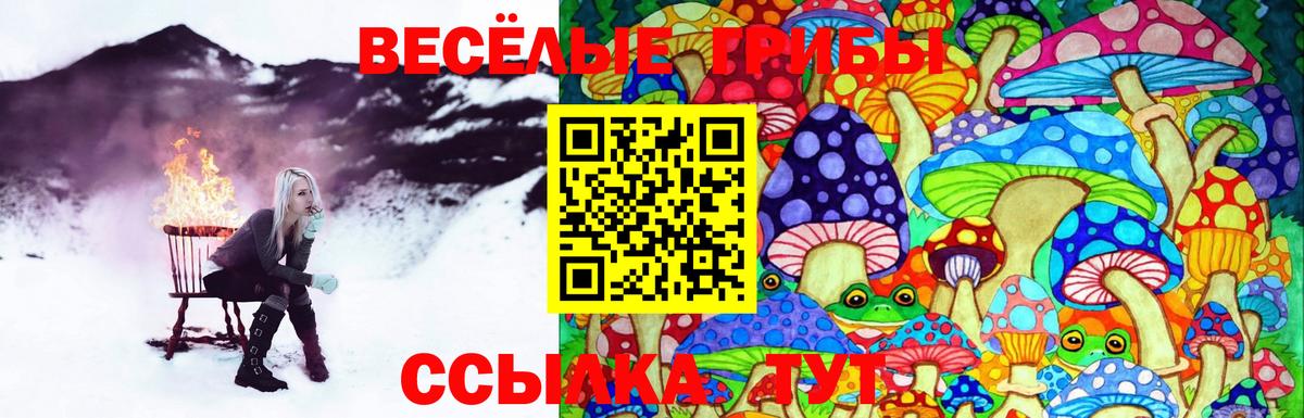 Белореченск  Псилоцибиновые грибы Psilocybine cubensis  Вход с VPN 