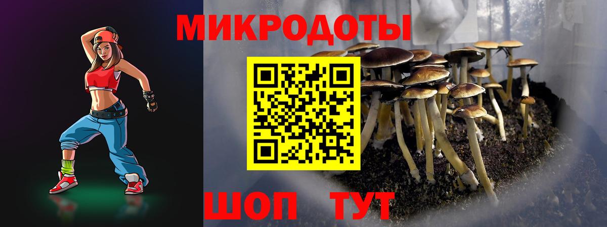 Псилоцибиновые грибы GOLDEN TEACHER Белореченск